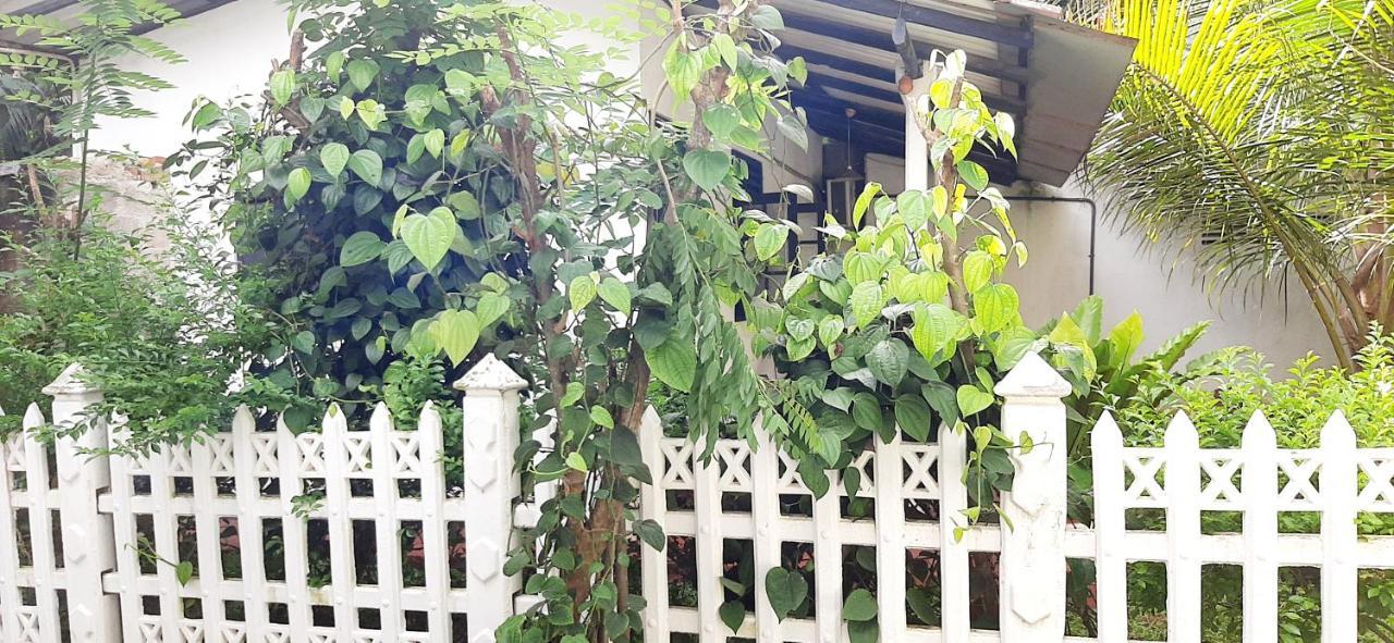 Cinnamon Garden - Hiriketiya Dikwella Exterior foto