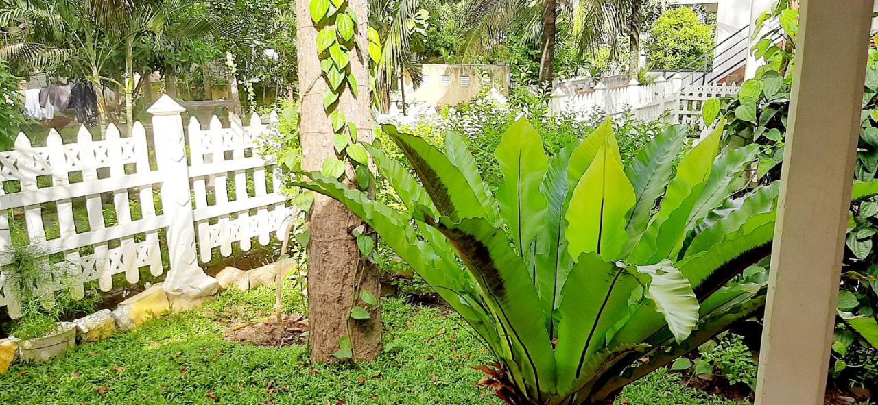 Cinnamon Garden - Hiriketiya Dikwella Exterior foto