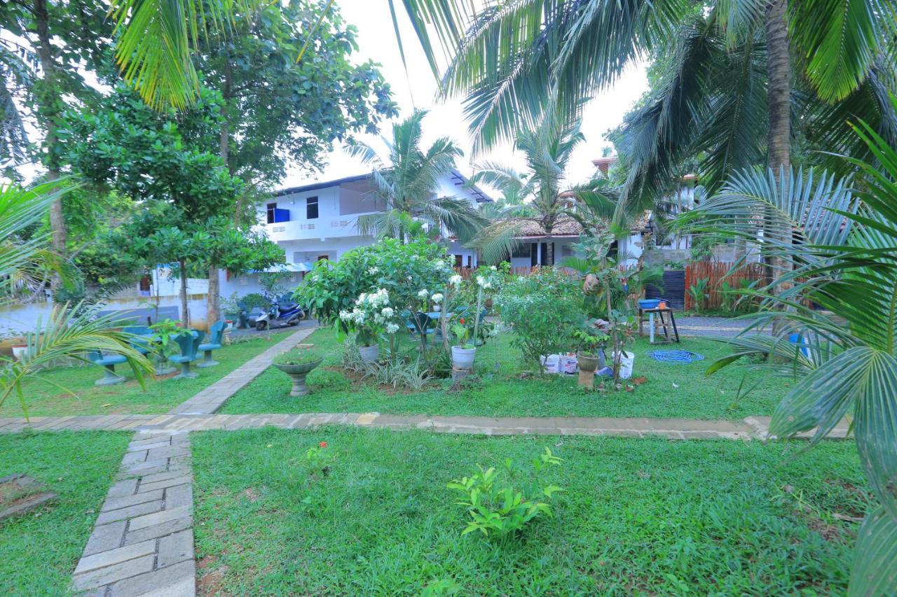 Cinnamon Garden - Hiriketiya Dikwella Exterior foto