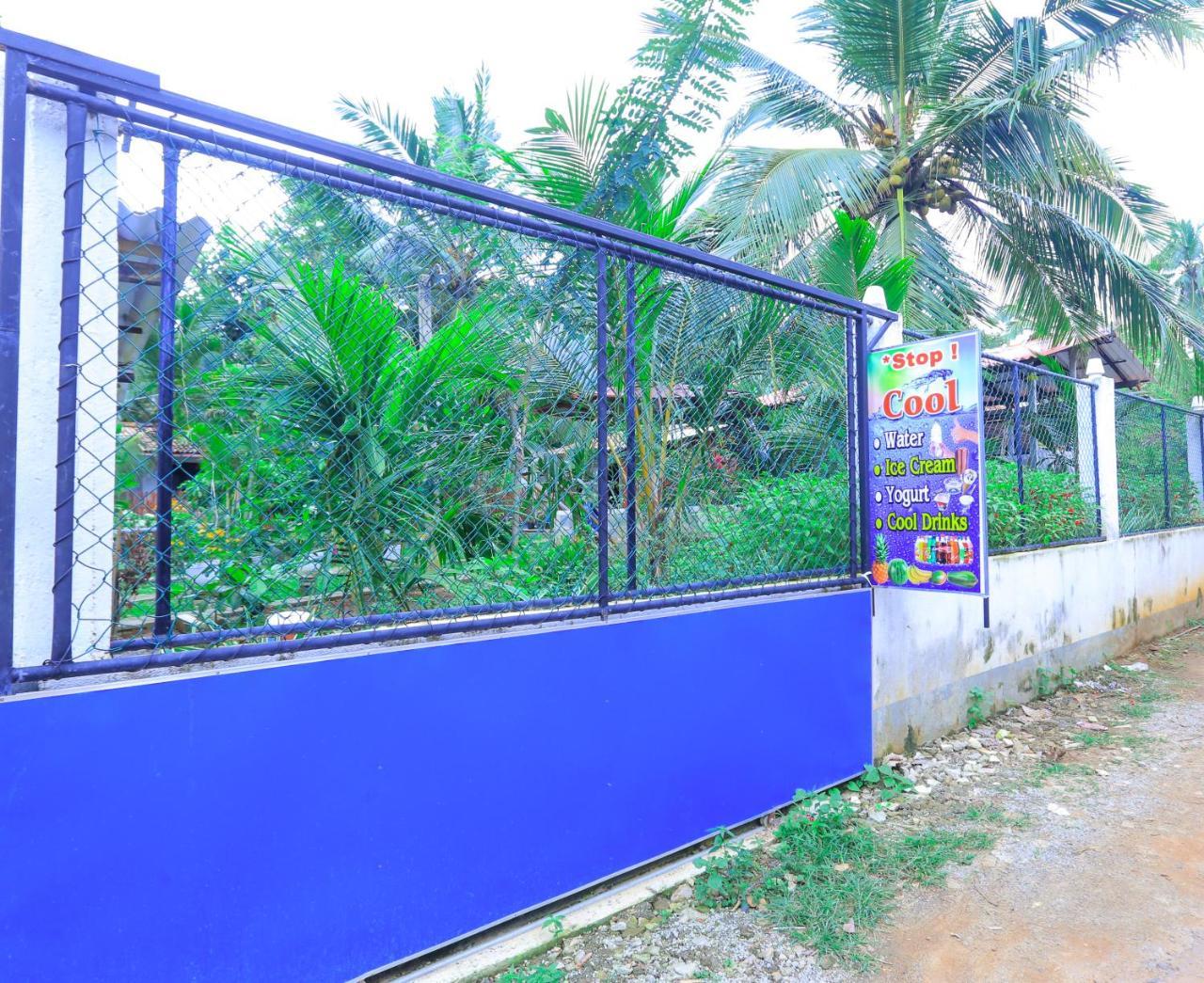 Cinnamon Garden - Hiriketiya Dikwella Exterior foto