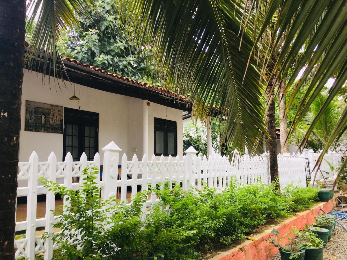 Cinnamon Garden - Hiriketiya Dikwella Exterior foto